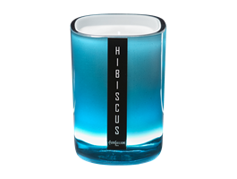 Pierre Guillaume Hibiscus scented candle 240 gr.